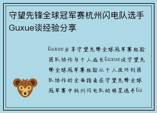 守望先锋全球冠军赛杭州闪电队选手Guxue谈经验分享